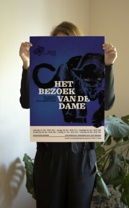 Het bezoek van de dame