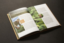 Marieke Van Raes | graphic design
